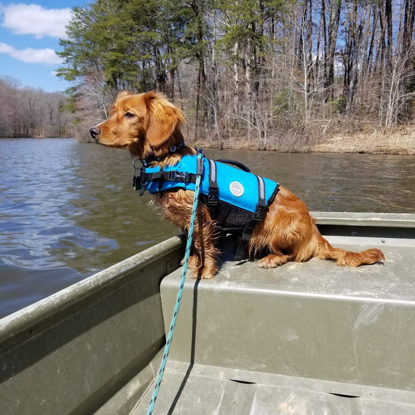 Ultimate Blue Rip Stop Dog Life Vest - Buoyant Swimming Jacket with Handle for Pups - Perfect for Swimming & Boating - Size M