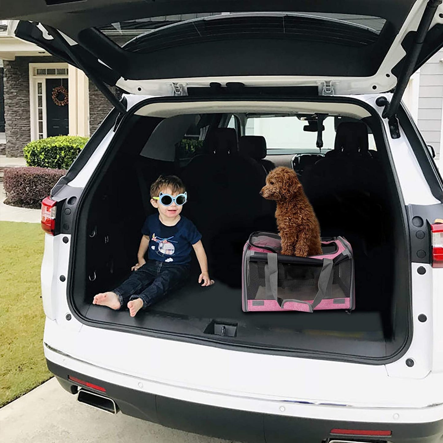 Premium Soft-Sided Pet Carrier for Large Cats and Dogs - Ultimate Comfort & Privacy for Travel