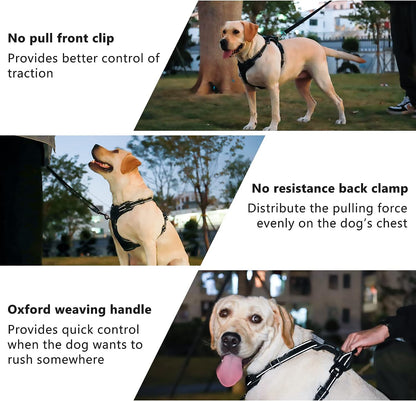 No Pull Light-Up Dog Harness with 3 Modes, Reflective Strap & Control Handle - Adjustable & Breathable for All Sizes (S, M, L)