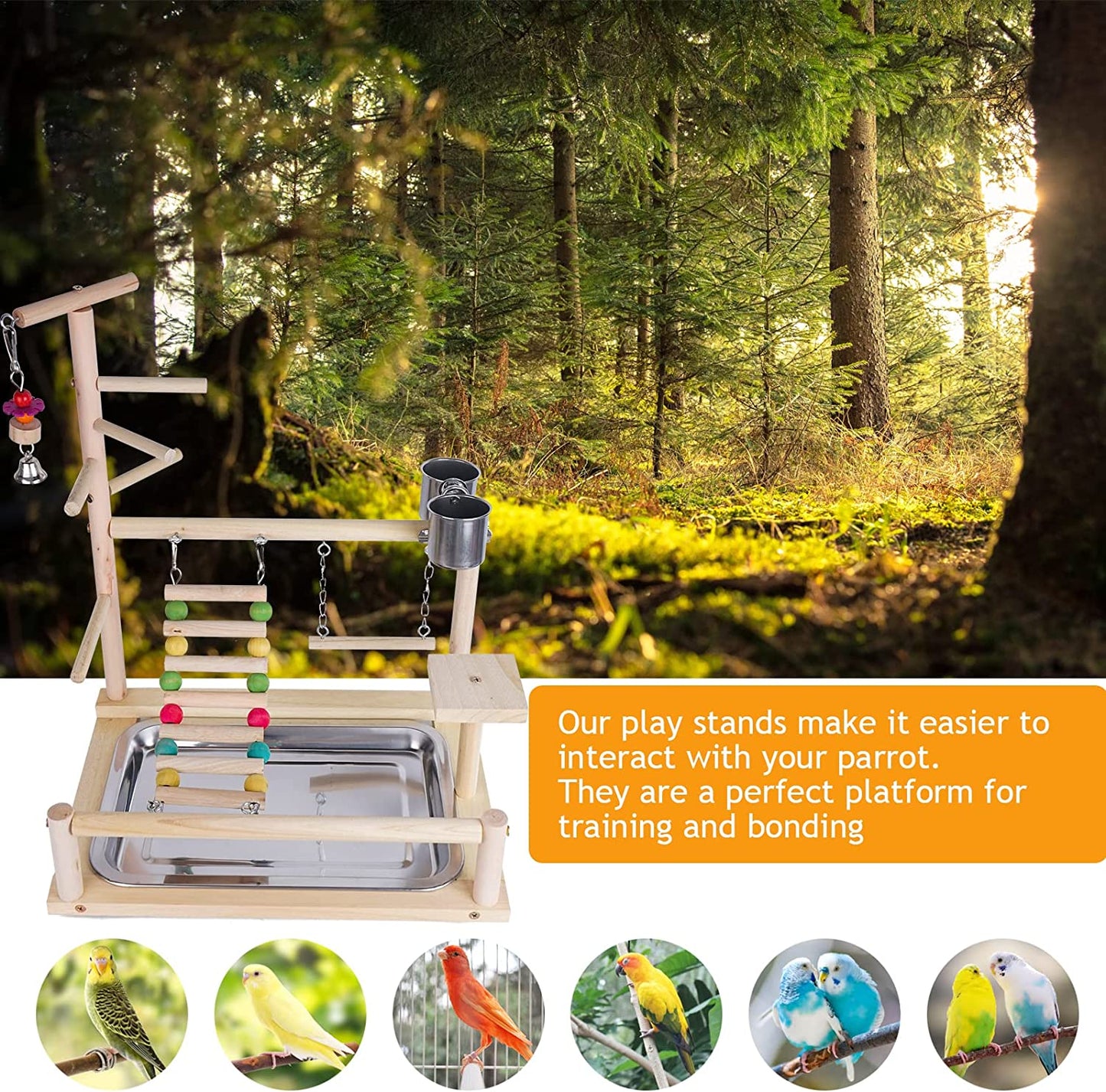 Ultimate Parrots Playground: Natural Wooden Bird Perch & Play Gym with Stainless Steel Feeding Accessories for Happy, Healthy Birds!