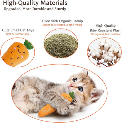 Catnip Cat Toys, Safe Teeth Cleaning Cat Nip Toys for Indoor Kitten Kitty,Interactive Plush Cat Chew Kicker Toys, 5 Pack, Vegetable Shape
