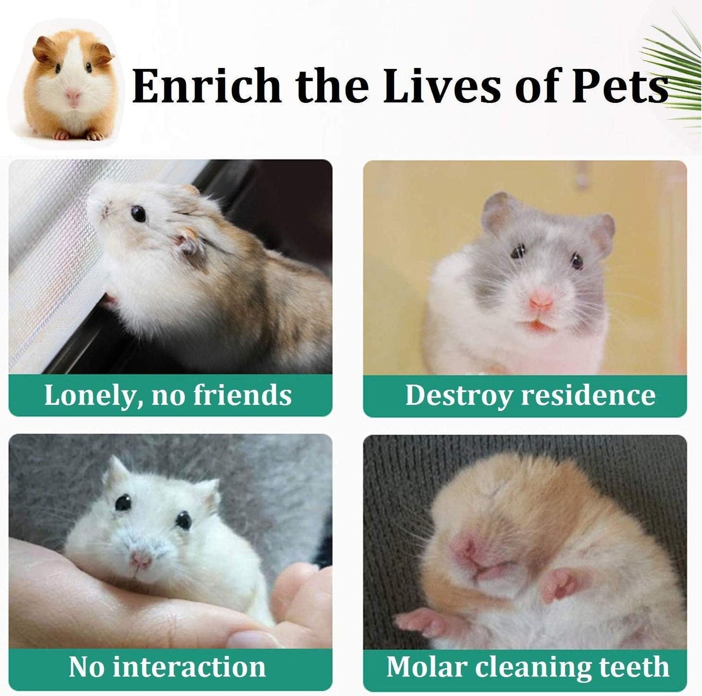 12PCS Natural Wooden Chew Toys for Hamsters, Guinea Pigs, and Rabbits - Dental Care & Exercise Set with Dumbbells, Bells, and Rollers