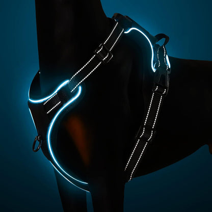 No Pull Light-Up Dog Harness with 3 Modes, Reflective Strap & Control Handle - Adjustable & Breathable for All Sizes (S, M, L)