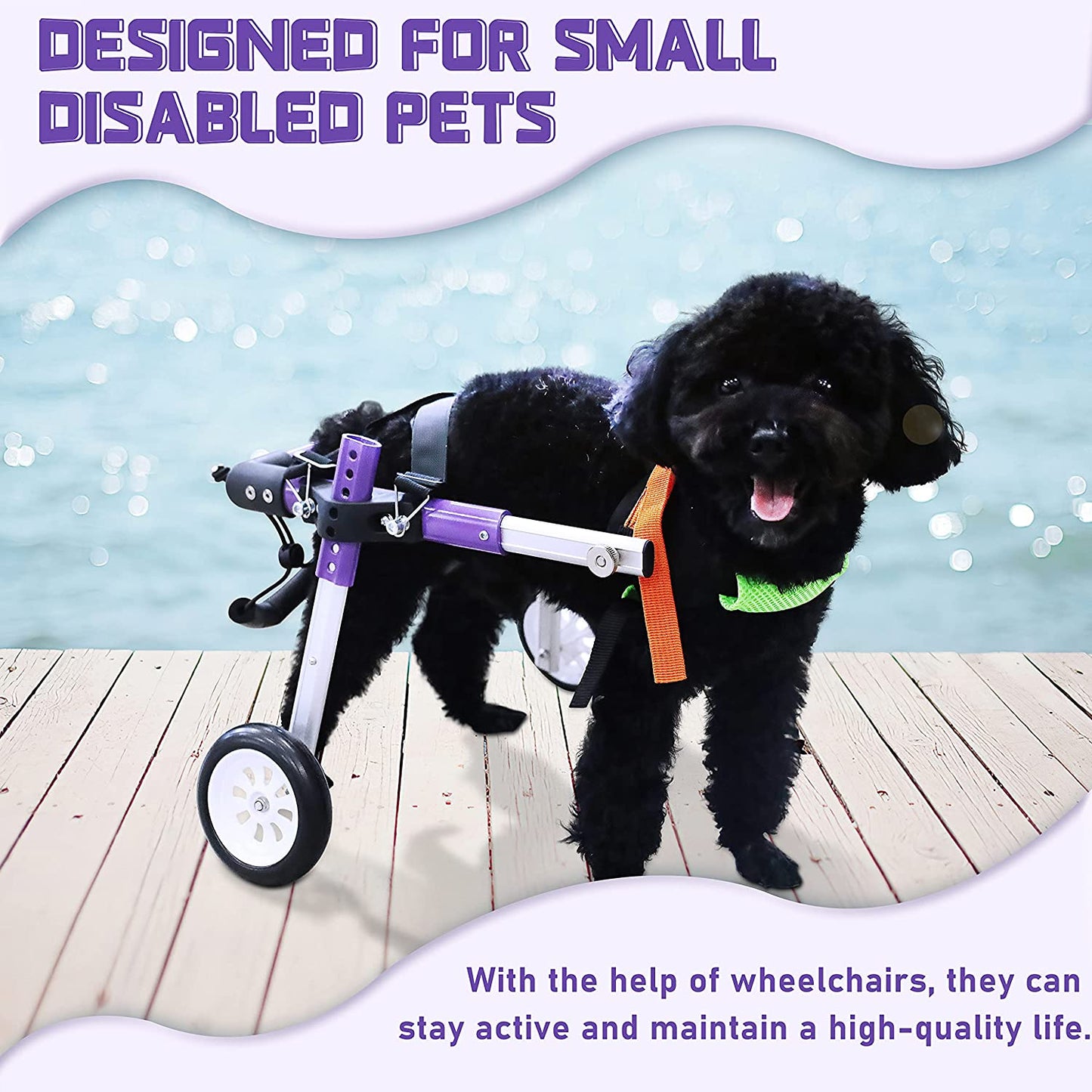 Premium Adjustable Dog Wheelchair for Disabled Hind Legs – Enhanced Mobility for Small Pets (XS-A)