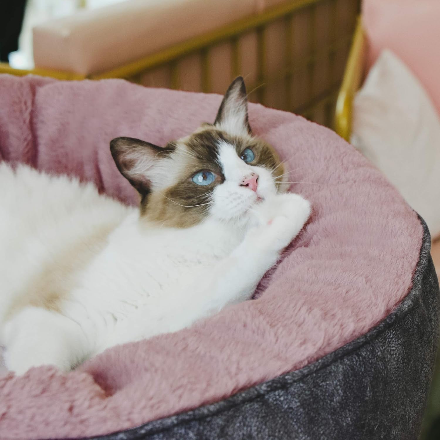 Calming Round Dog Bed for Small & Medium Breeds - Cozy, Machine Washable, Anti-Anxiety Pet Bed