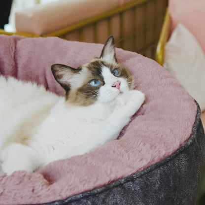 Calming Round Dog Bed for Small & Medium Breeds - Cozy, Machine Washable, Anti-Anxiety Pet Bed