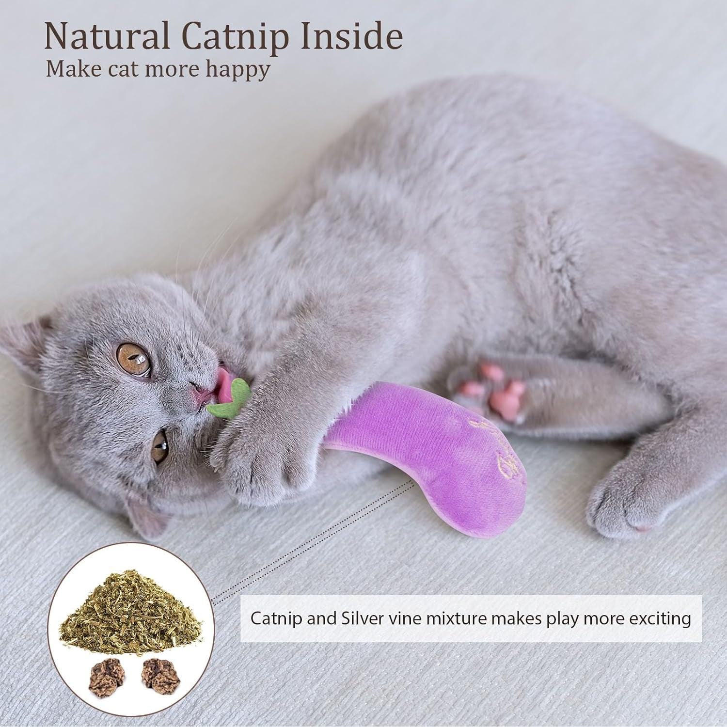 Catnip Cat Toys, Safe Teeth Cleaning Cat Nip Toys for Indoor Kitten Kitty,Interactive Plush Cat Chew Kicker Toys, 5 Pack, Vegetable Shape